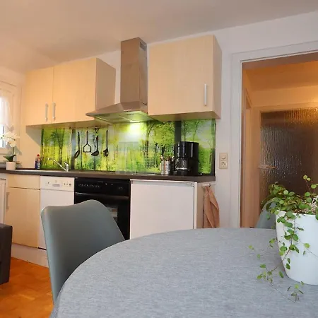 公寓 In Rietheim *