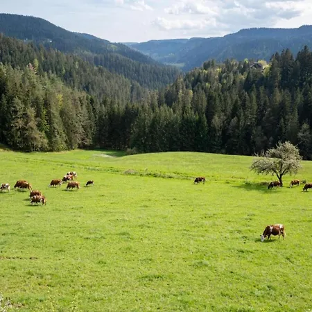 Lovely In The Black Forest Apartment