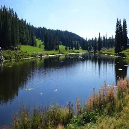 In Rietheim 公寓 *