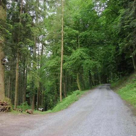 Lovely In The Black Forest Apartment