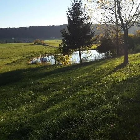 In Rietheim 公寓 菲林根-施文宁根