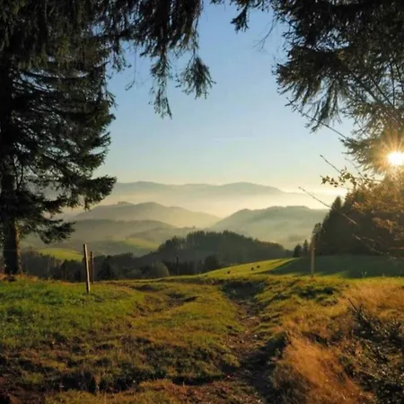 公寓 In Rietheim 菲林根-施文宁根