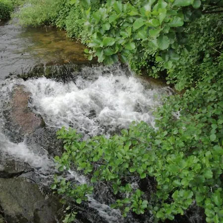 In Rietheim 公寓 *