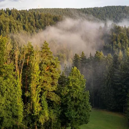 Lovely In The Black Forest *