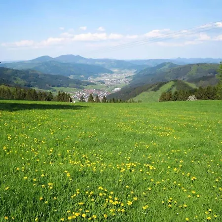 Lovely In The Black Forest Apartment *