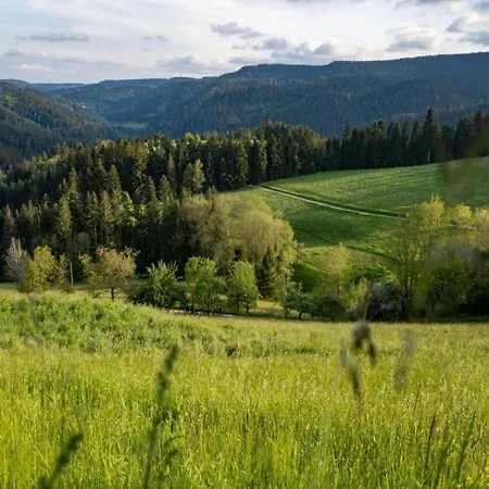 In Rietheim 公寓 菲林根-施文宁根