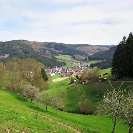 Lovely In The Black Forest * Villingen-Schwenningen