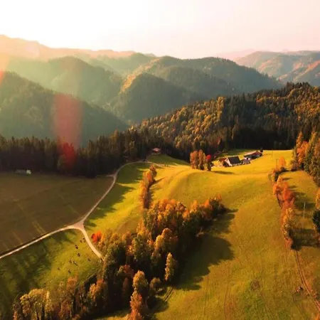Lovely In The Black Forest