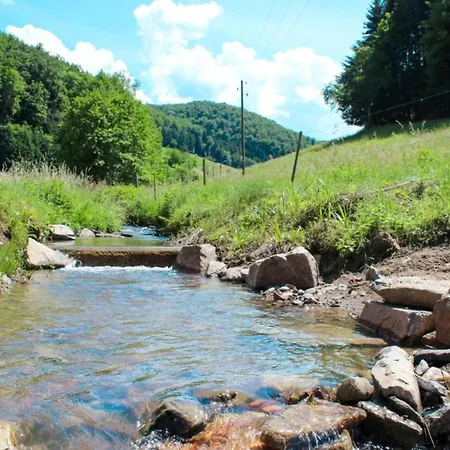 Lovely In The Black Forest