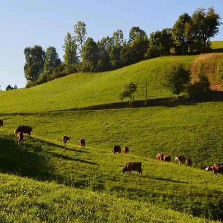 公寓 In Rietheim *